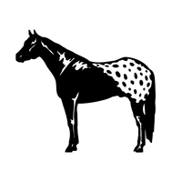 Appaloosa 