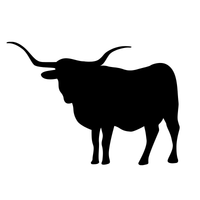 Longhorn