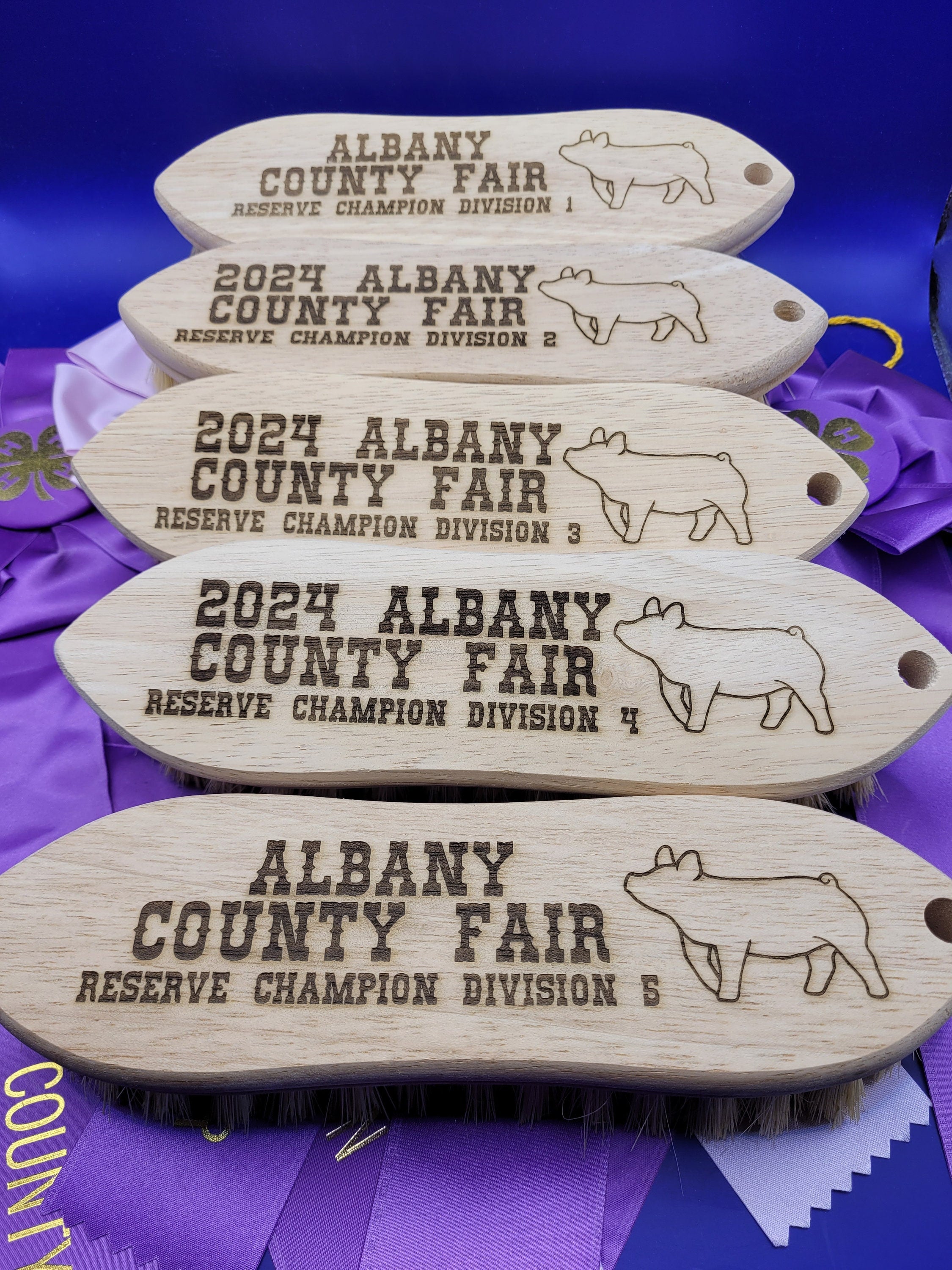 Livestock Show Award Brush