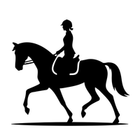 Dressage