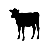Bucket Calf