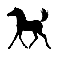 Colt