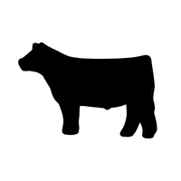 Dark Color Steer