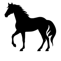 Horse 2