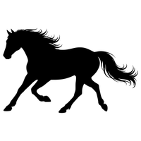 Quarter Horse