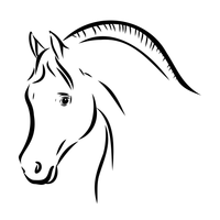 Arabian 1