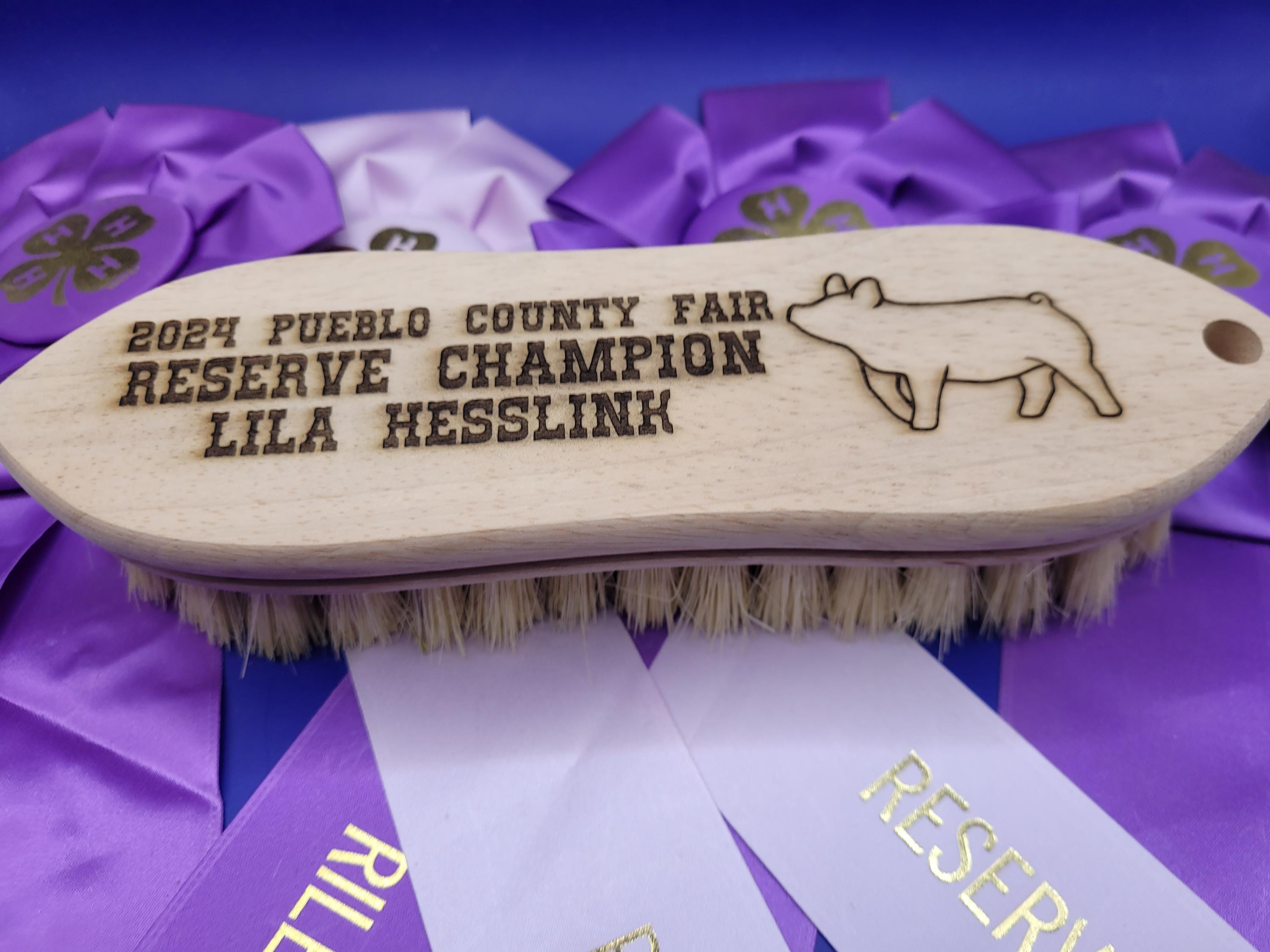 Livestock Show Award Brush