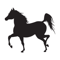 Arabian 2