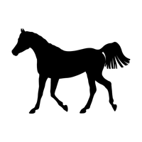 Arabian 4
