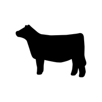 Dark Color Heifer
