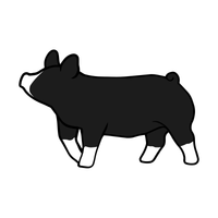 Berkshire
