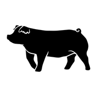 Duroc