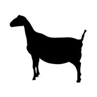 Lamancha