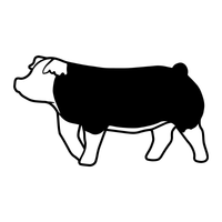 Hereford Pig