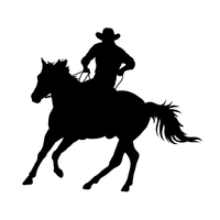 Cowboy