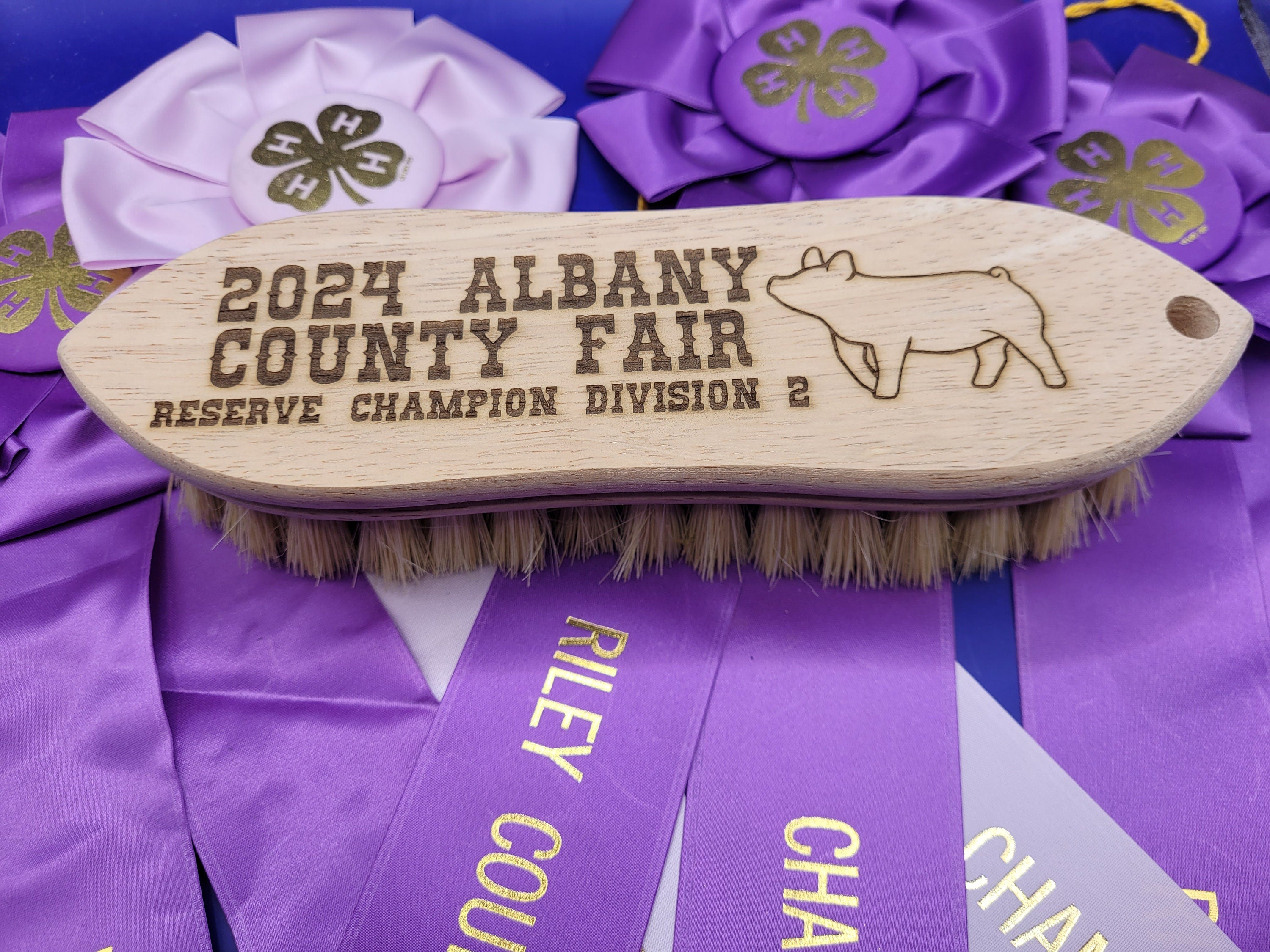 Livestock Show Award Brush