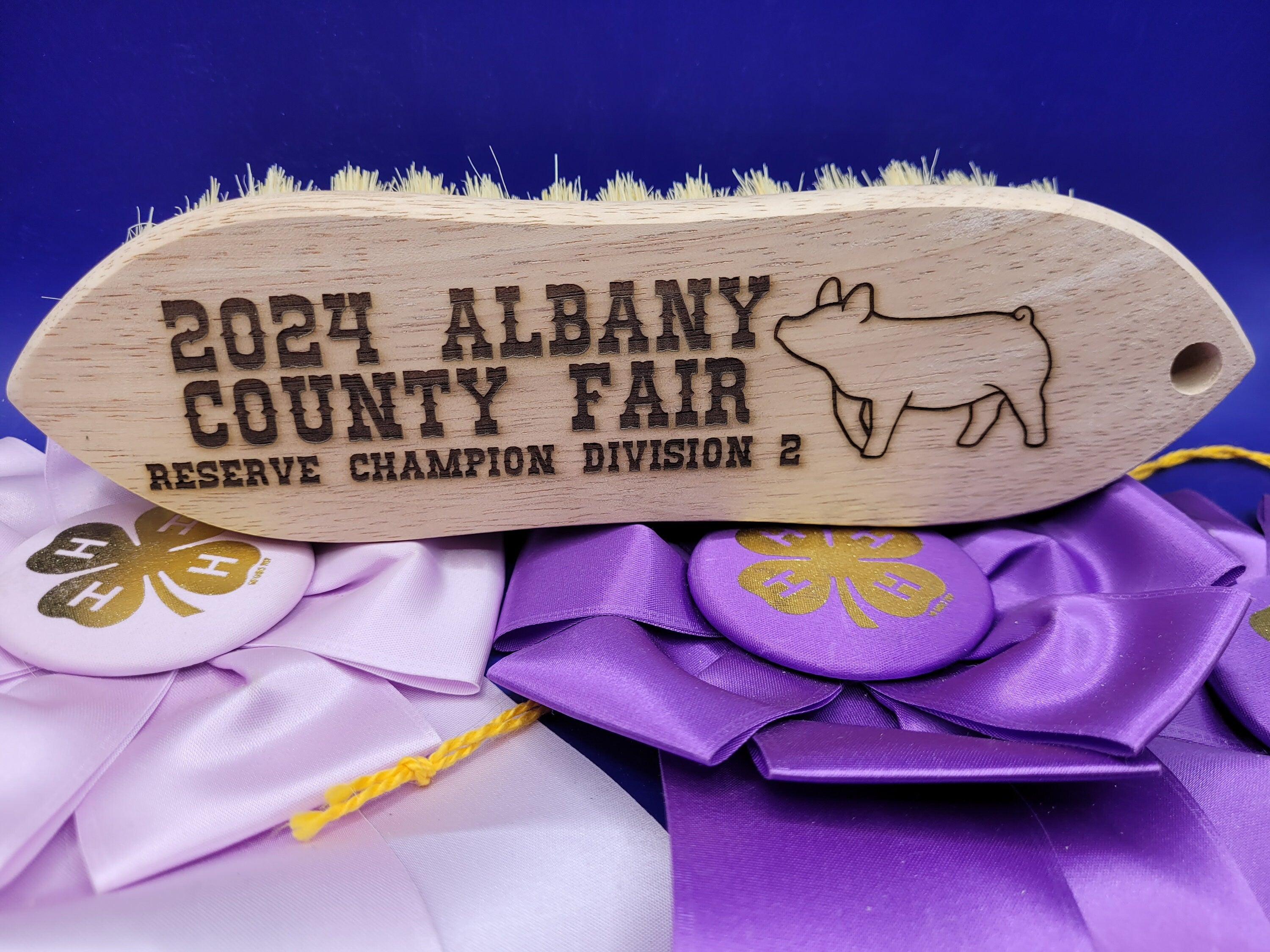 Livestock Show Award Brush